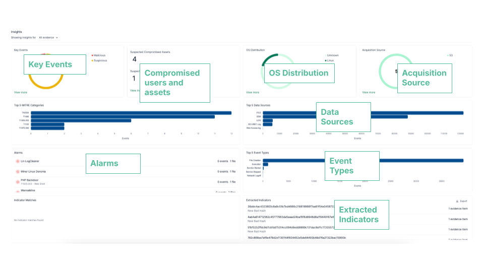 Insights tab