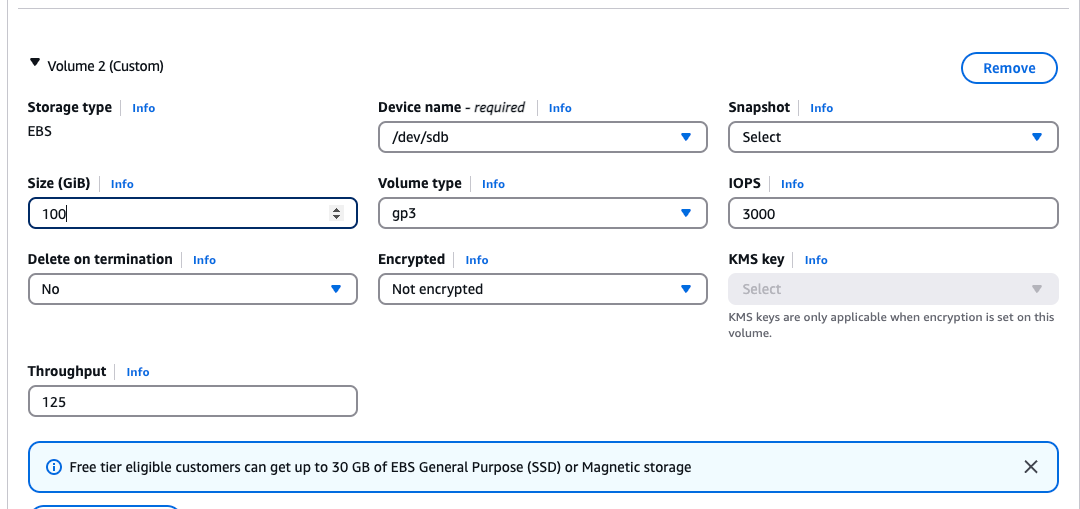 Set Disk Size